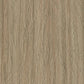 Forbo Marmoleum modular planks in 100x25cm, showcasing natural linoleum flooring with a wood-like pattern and warm tones.