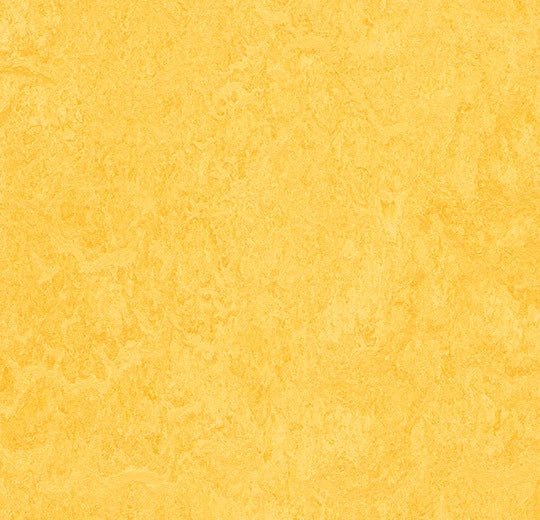 Forbo Marmoleum modular tiles in 50x50cm size, showcasing durable natural linoleum flooring with a patterned design.
