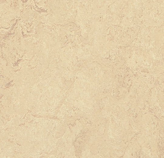 Forbo Marmoleum modular tiles in 50x50cm, showcasing colorful flooring tiles with a pattern and textured surface.