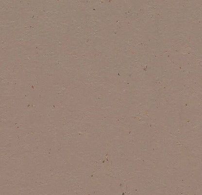 Marmoleum Solid Cocoa linoleum flooring by Forbo, showing a close-up of the textured, natural brown surface of the flooring.