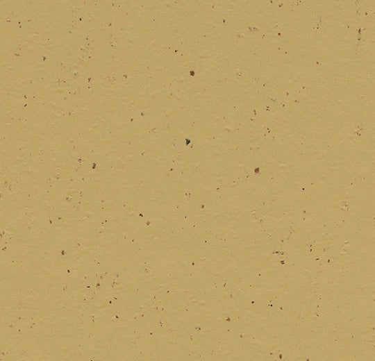 Forbo Marmoleum Solid Cocoa linoleum flooring with a natural brown textured surface and seamless installation appearance.