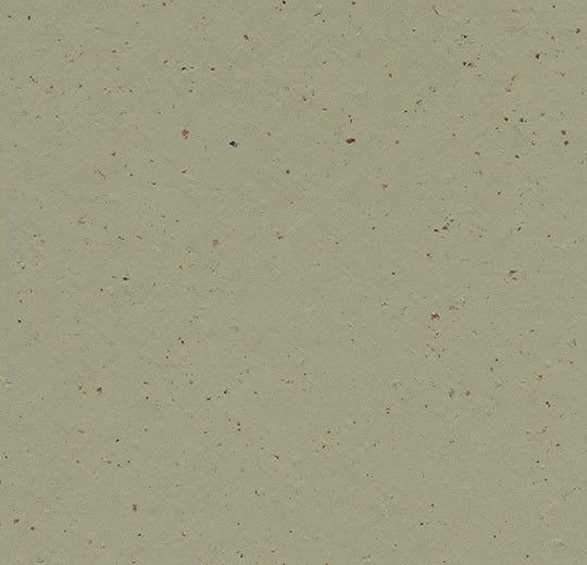 Forbo Marmoleum Solid Cocoa linoleum flooring with a natural, textured brown surface and seamless installation.