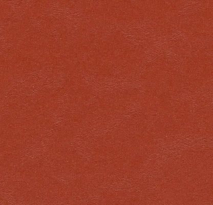 Marmoleum Solid Walton linoleum flooring by Forbo, showing a close-up of textured, eco-friendly natural linoleum surface.