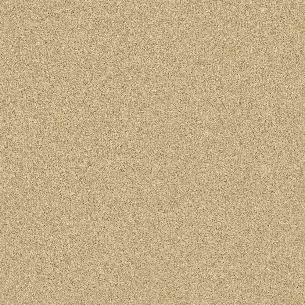 Close-up of Pembroke 80/20 Wool Twist Carpet by Cormar Carpet Co showcasing its textured wool twist fibers.