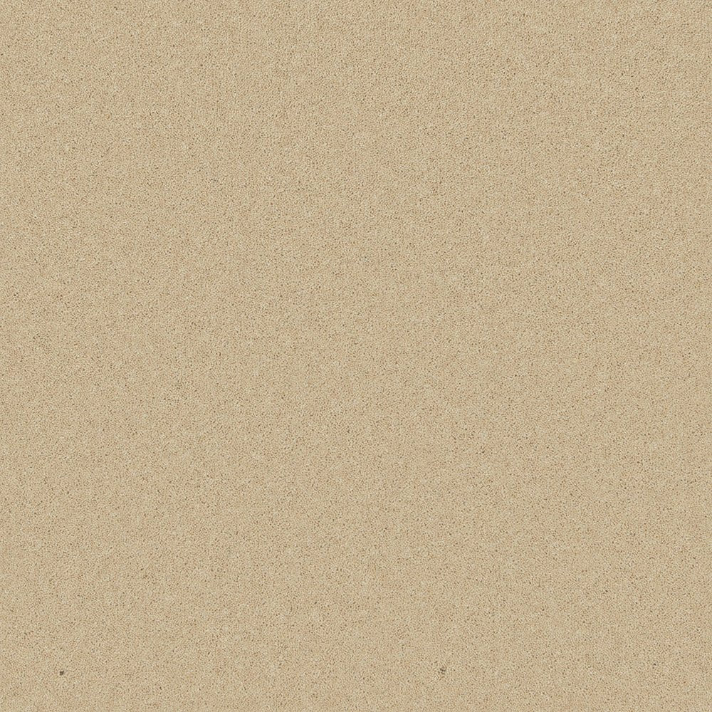 Close-up of Pembroke 80/20 wool twist carpet by Cormar Carpet Co, showcasing soft wool fibers and twisted yarn texture.