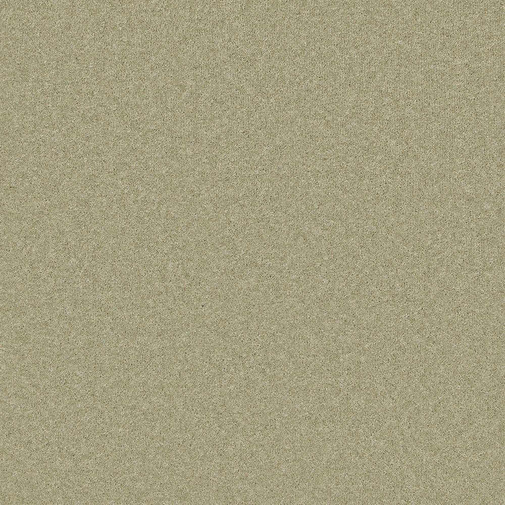 Close-up of Pembroke 80/20 Wool Twist Carpet by Cormar Carpet Co, showing its textured wool twist pile in neutral tones.