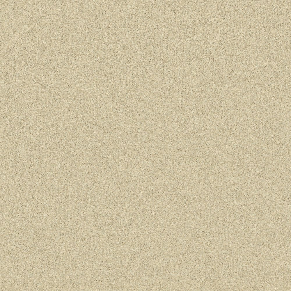 Close-up of Pembroke 80/20 Wool Twist Carpet by Cormar Carpet Co, showcasing its textured wool twist pile and rich color.
