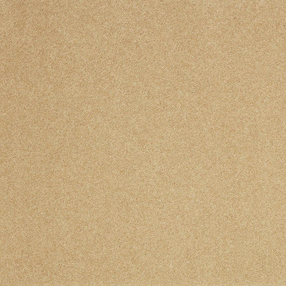 Close-up of Pembroke 80/20 Wool Twist Carpet by Cormar Carpet Co showcasing its textured wool fibers and twisted pile design.