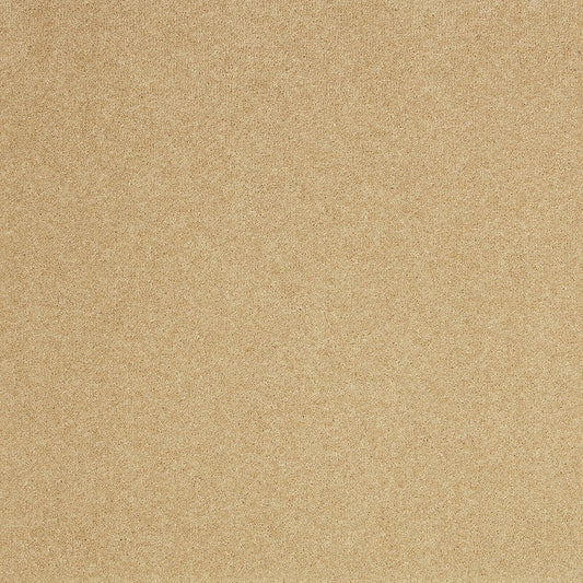 Cream Pembroke 80/20 wool twist carpet by Cormar Carpet Co, showing its textured wool fibers and plush pile.