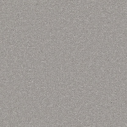 Close-up of Apollo Plus Easy Clean Carpet by Cormar Carpet Co showing its textured, durable fiber and soft pile in neutral tones.