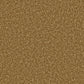Cream Apollo Plus Easy Clean Carpet by Cormar Carpet Co, showcasing a plush, stain-resistant home carpet with a soft texture.
