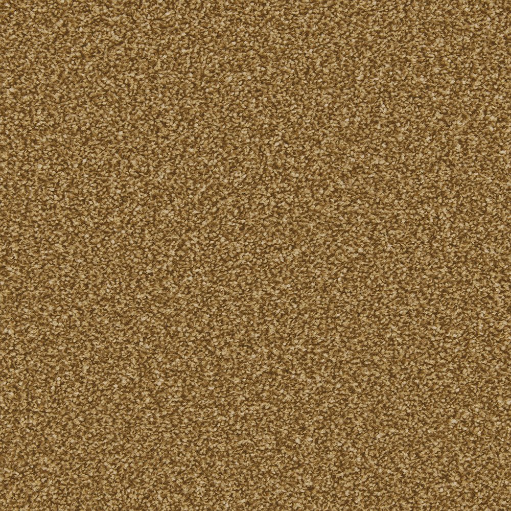 Cream Apollo Plus Easy Clean Carpet by Cormar Carpet Co, showcasing a plush, stain-resistant home carpet with a soft texture.