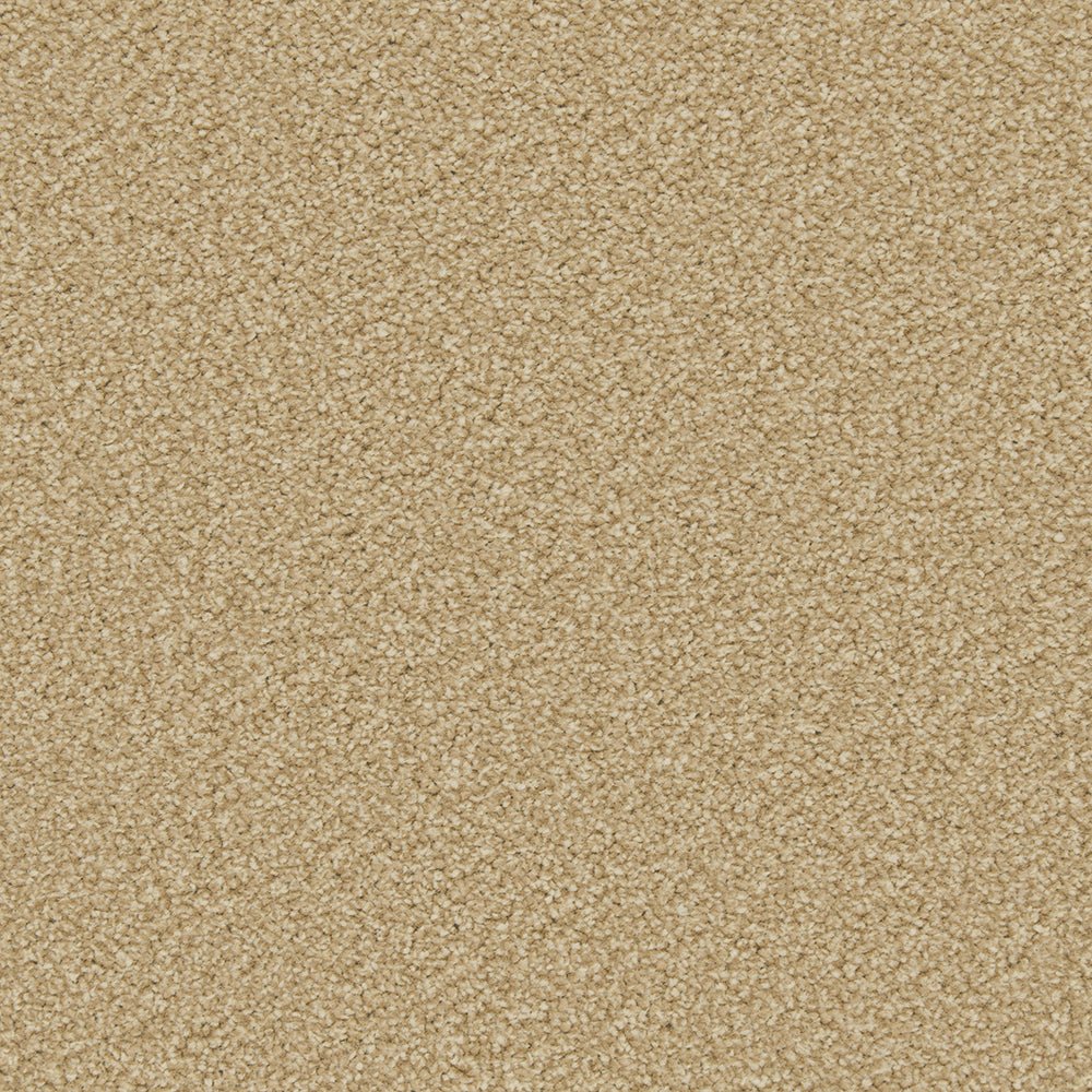 Close-up of Apollo Plus Easy Clean Carpet by Cormar Carpet Co, showcasing its textured, durable carpet surface with a soft, patterned design.