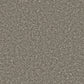 Close-up of Apollo Plus Easy Clean Carpet by Cormar Carpet Co showcasing its textured, durable carpet fibers and pattern.