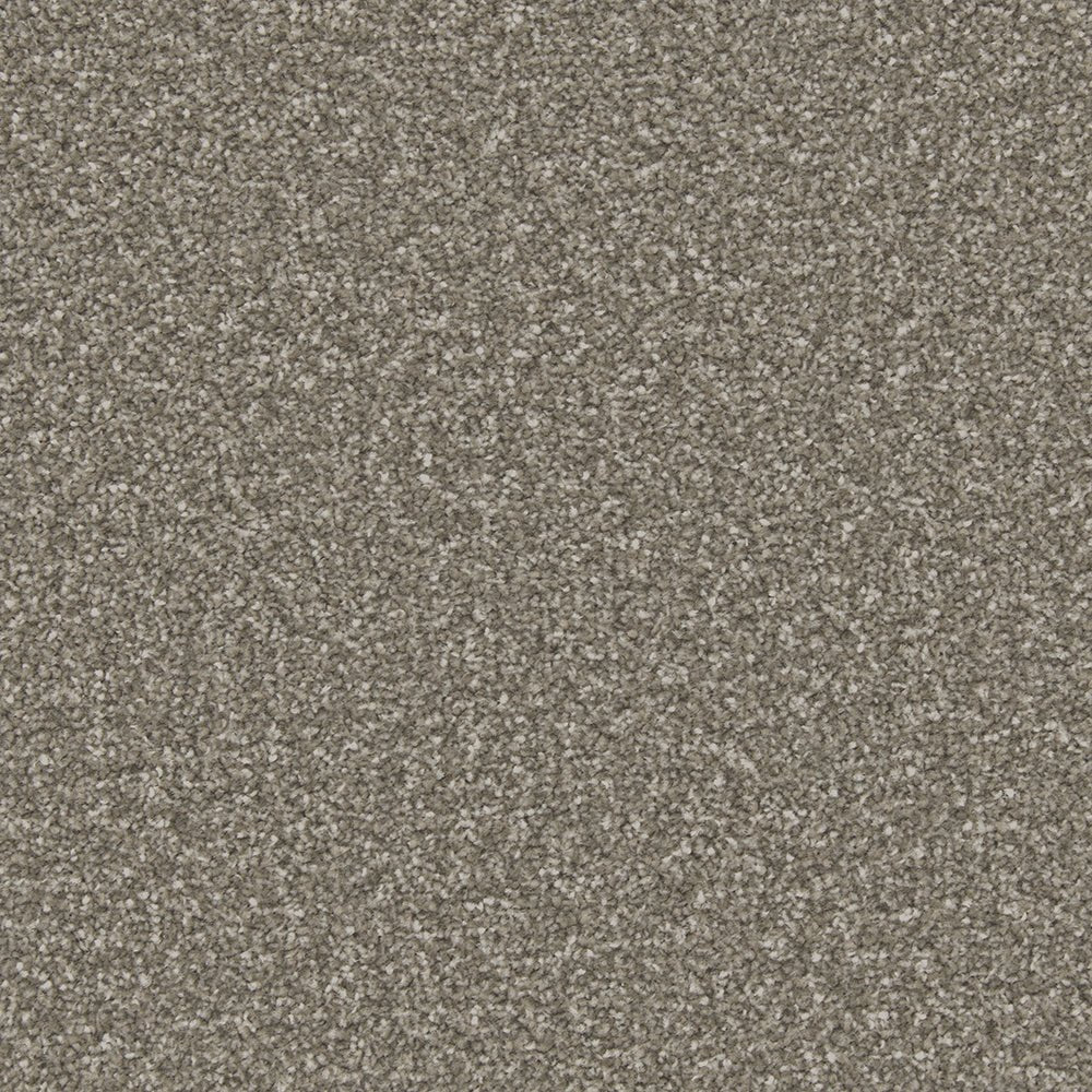 Close-up of Apollo Plus Easy Clean Carpet by Cormar Carpet Co showcasing its textured, durable carpet fibers and pattern.