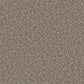 Cormar Carpet Co Apollo Plus Easy Clean Carpet showing a close-up of soft, textured beige carpet fibers.