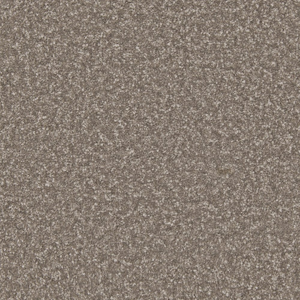Cormar Carpet Co Apollo Plus Easy Clean Carpet showing a close-up of soft, textured beige carpet fibers.