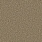 Cormar Carpet Co Apollo Plus Easy Clean Carpet in neutral tones, showing textured woven surface and plush pile for home decor.