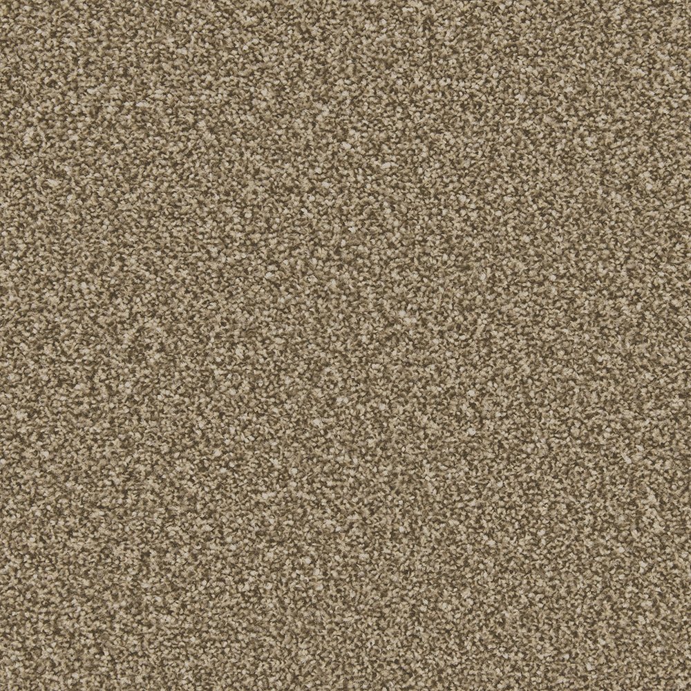 Cormar Carpet Co Apollo Plus Easy Clean Carpet in neutral tones, showing textured woven surface and plush pile for home decor.