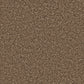 Cormar Carpet Co Apollo Plus Easy Clean Carpet in neutral tones, showing soft pile and textured surface for comfortable flooring.