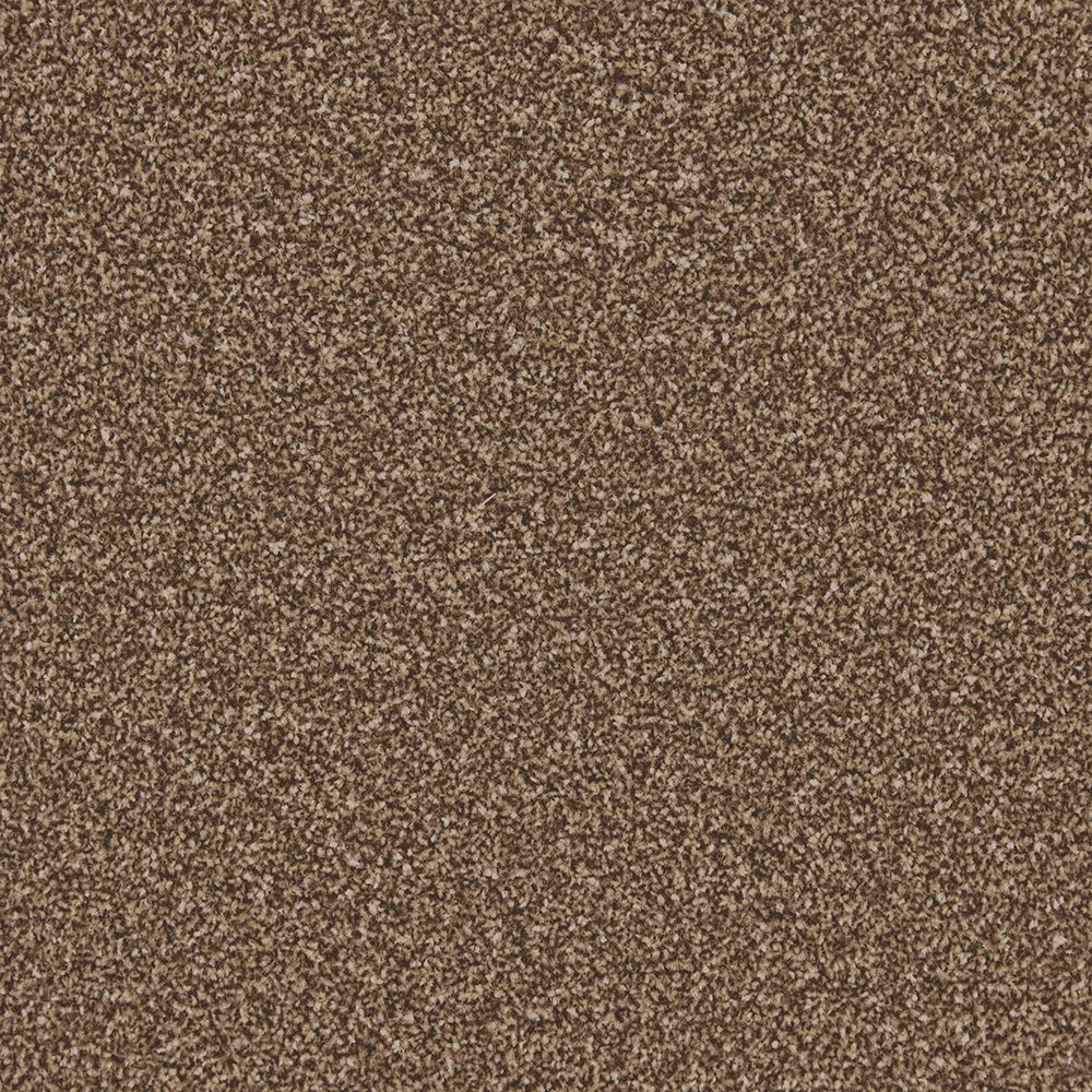 Cormar Carpet Co Apollo Plus Easy Clean Carpet in neutral tones, showing soft pile and textured surface for comfortable flooring.