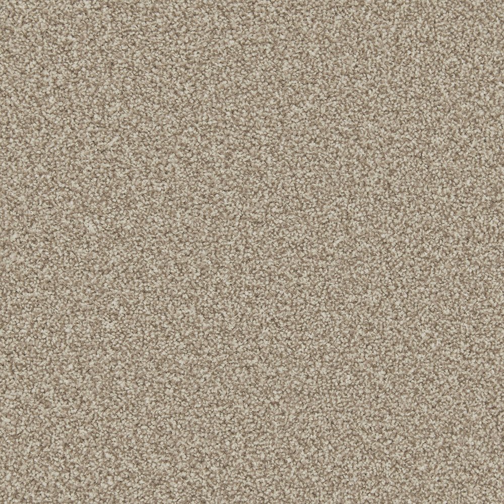 Cormar Carpet Co Apollo Plus Easy Clean carpet with textured beige fibers and plush surface for comfortable home flooring.
