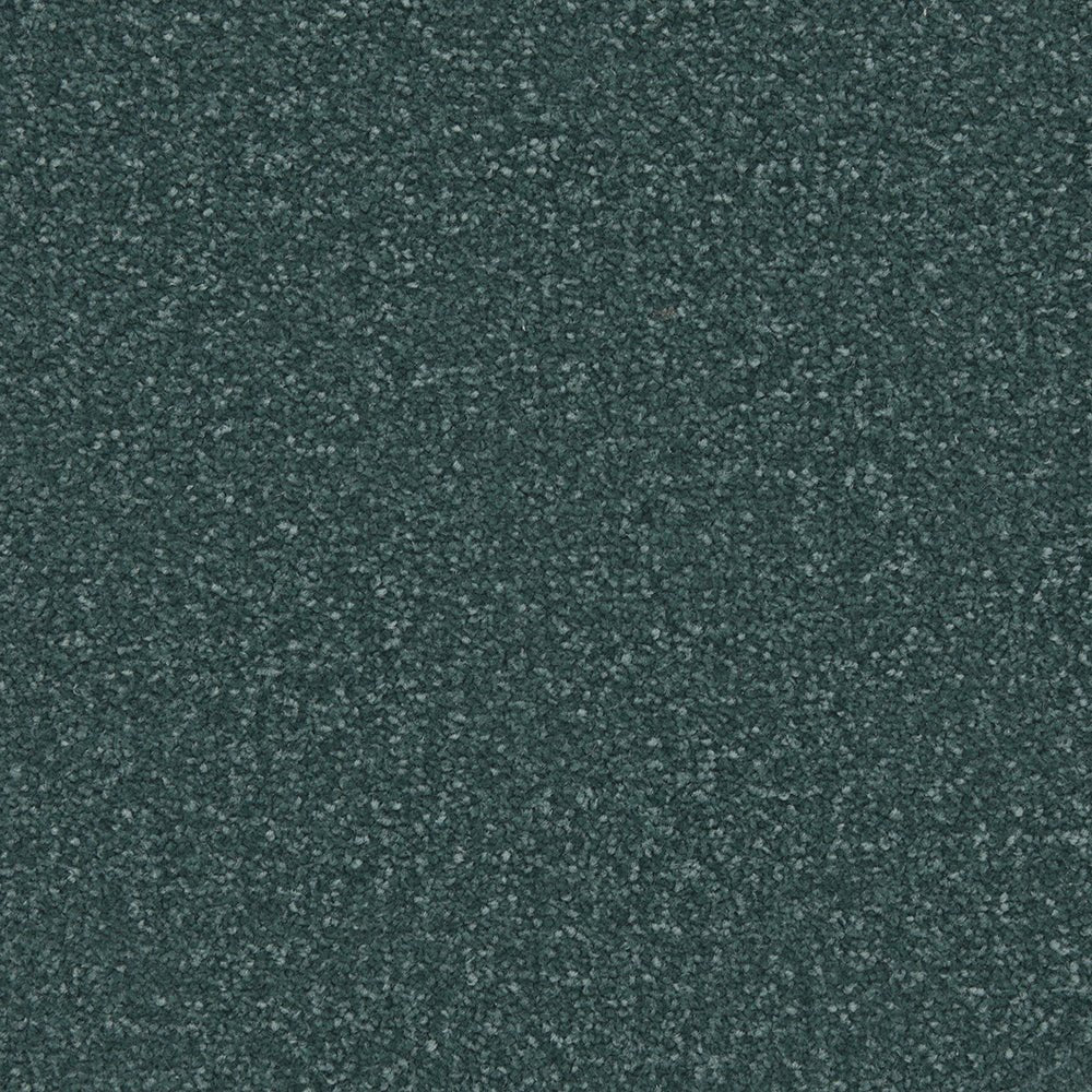 Close-up of Apollo Plus Easy Clean Carpet by Cormar Carpet Co showcasing its textured, stain-resistant surface and plush pile.