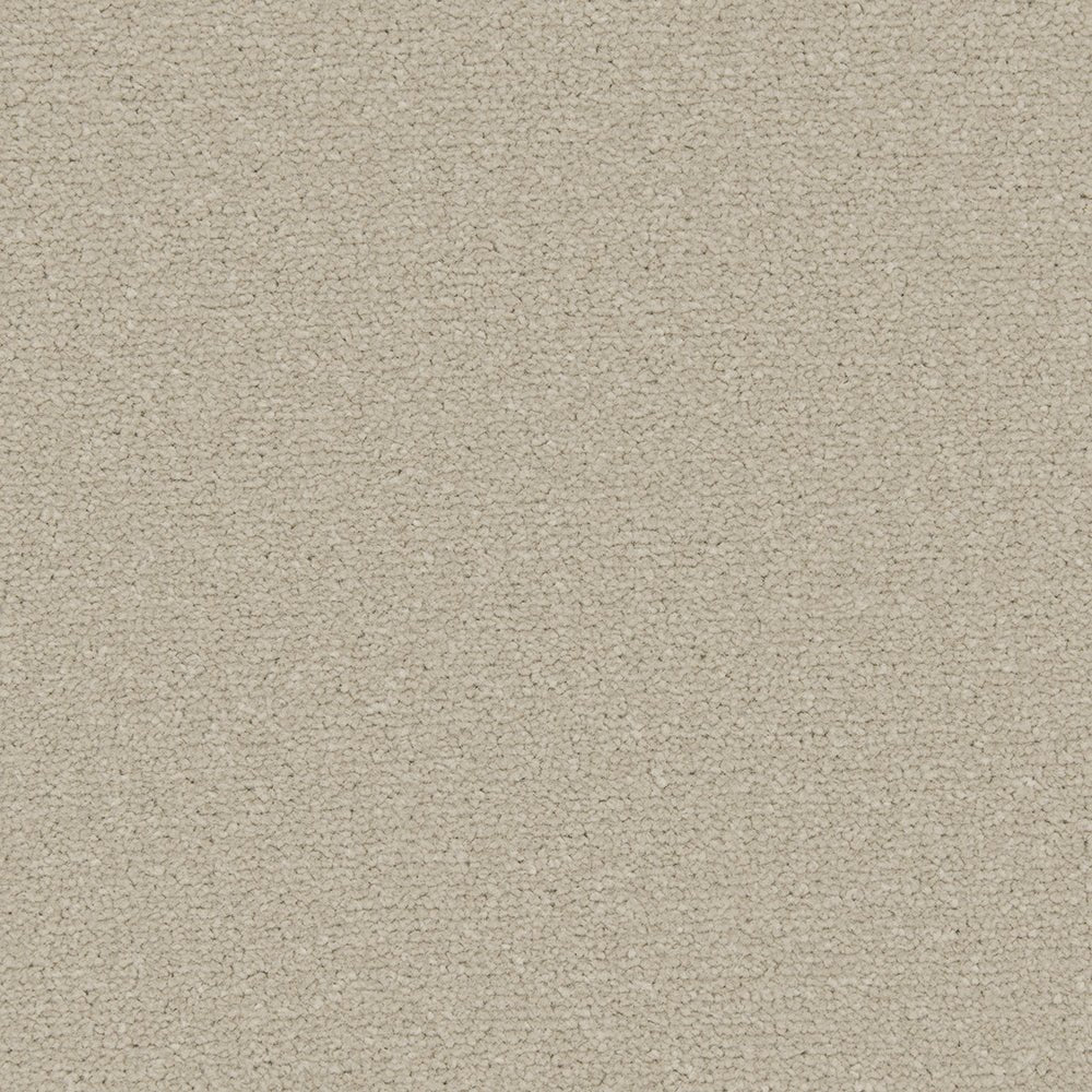 Ceramic Apollo Plus Easy Clean Carpet by Cormar Carpet Co showing a plush, textured beige carpet for living room flooring.