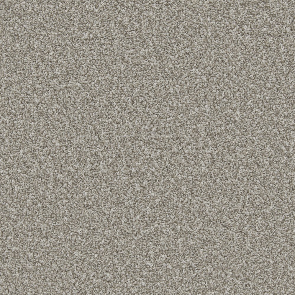 Close-up of Apollo Plus Easy Clean Carpet by Cormar Carpet Co showing soft, textured pile in neutral tones