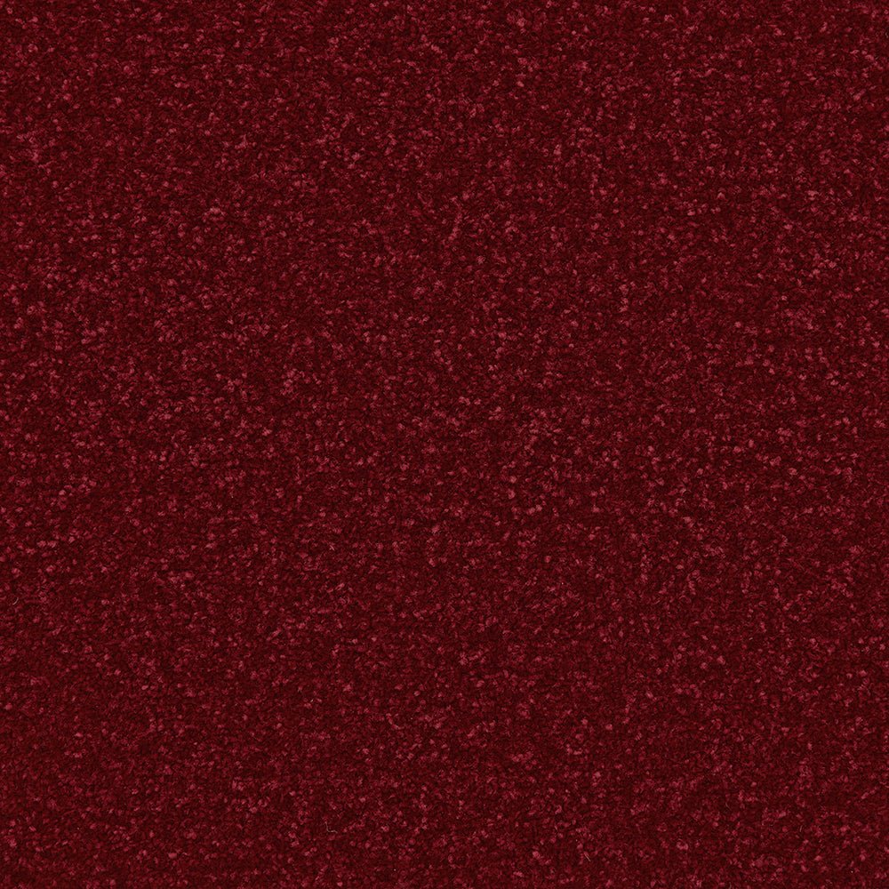Close-up of Apollo Plus Easy Clean Carpet by Cormar Carpet Co, showcasing its textured, stain-resistant carpet surface.