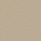 Close-up of Apollo Plus Easy Clean Carpet from Cormar Carpet Co, showing its textured, durable carpet surface.