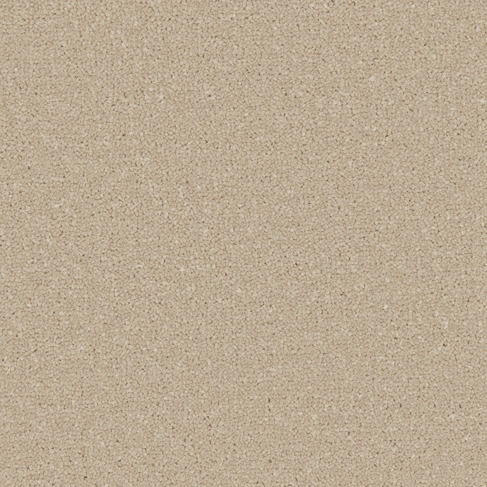 Close-up of Apollo Plus Easy Clean Carpet from Cormar Carpet Co, showing its textured, durable carpet surface.