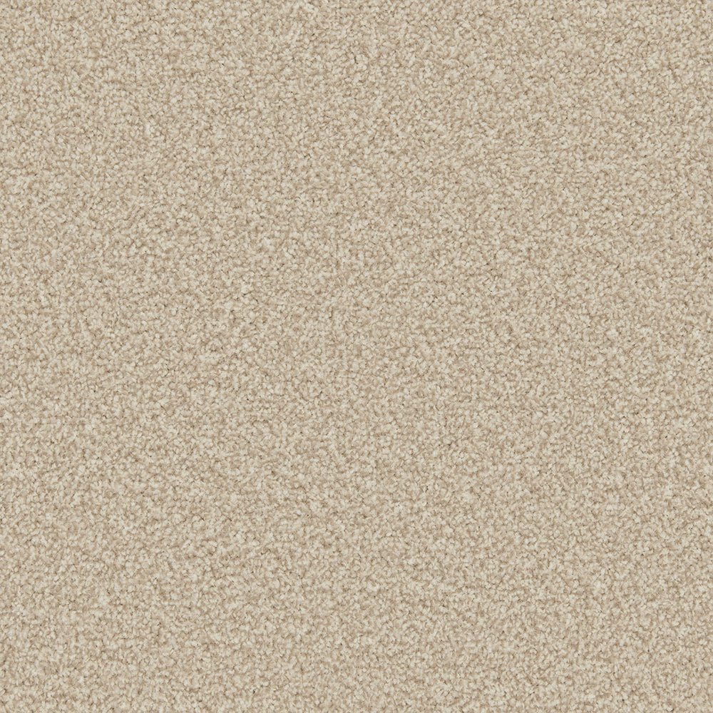 Close-up of Apollo Plus Easy Clean Carpet by Cormar Carpet Co, showcasing its textured, durable carpet fibers and pattern.