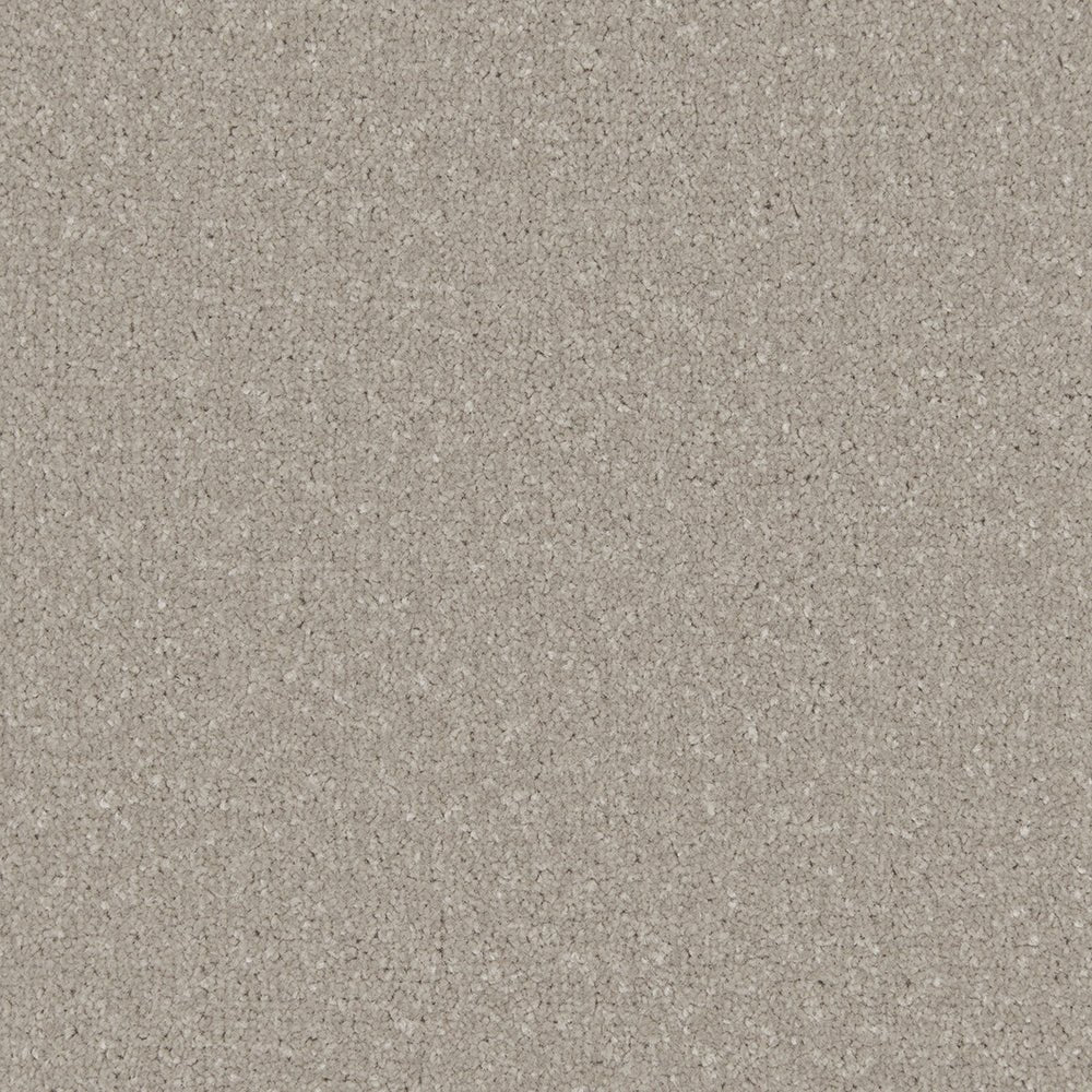 Close-up of Apollo Plus Easy Clean Carpet by Cormar Carpet Co showing its textured, durable carpet surface in neutral tones.
