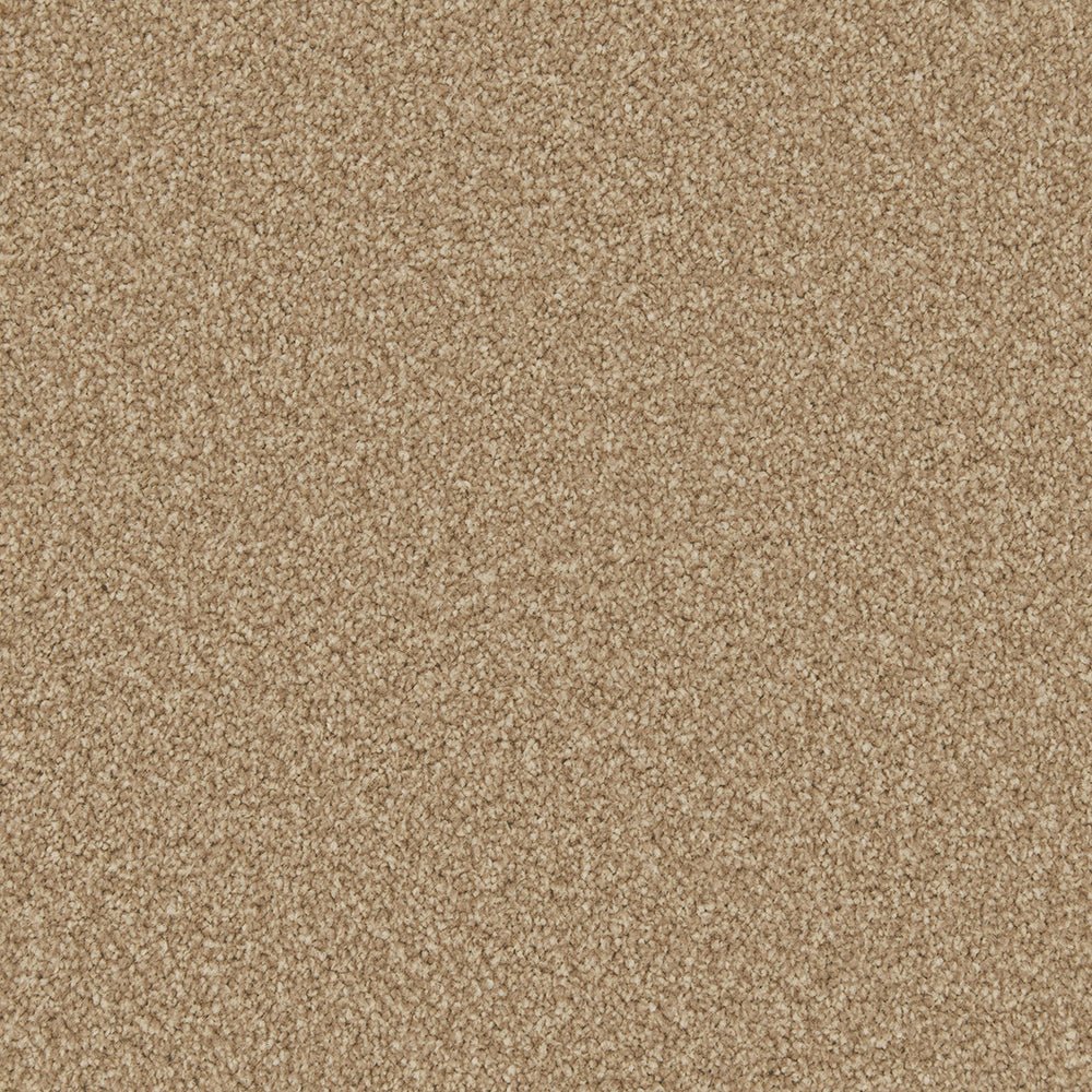 Close-up of Apollo Plus Easy Clean carpet by Cormar Carpet Co, showcasing its textured, durable carpet fibers and pattern.