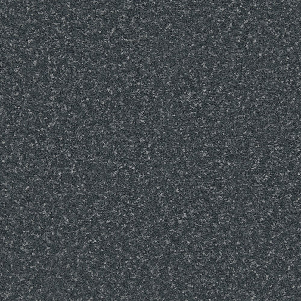 Close-up of Apollo Plus Easy Clean Carpet by Cormar Carpet Co, showing its textured, durable surface and soft, plush fibers.