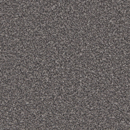 Light beige Kingston Easy Clean carpet by Cormar Carpet Co, showcasing a soft, plush carpet with a smooth texture.