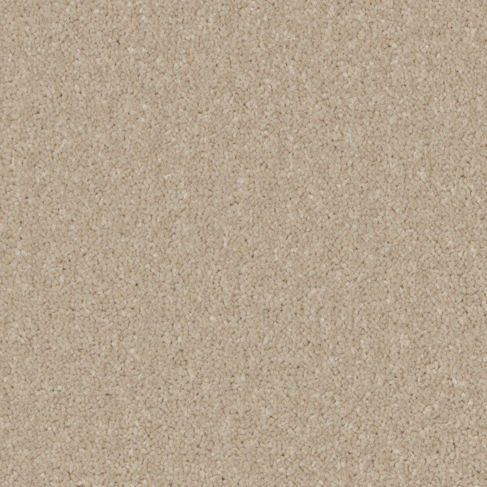 Kingston Easy Clean Carpet by Cormar Carpet Co featuring a plush, durable carpet with a neutral beige color and soft texture.
