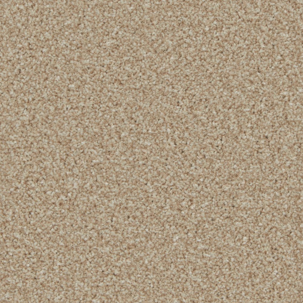 Kingston Easy Clean Carpet by Cormar Carpet Co, close-up of soft, textured carpet fibers in neutral tones.