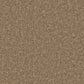 Soft beige Kingston Easy Clean Carpet by Cormar Carpet Co, showcasing a plush, stain-resistant carpet with a textured surface.