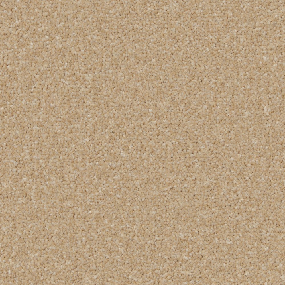 Kingston Easy Clean Carpet - Surefit CarpetsDoncaster