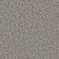 Kingston Easy Clean Carpet by Cormar Carpet Co featuring a soft, durable carpet with a subtle textured pattern for home use.
