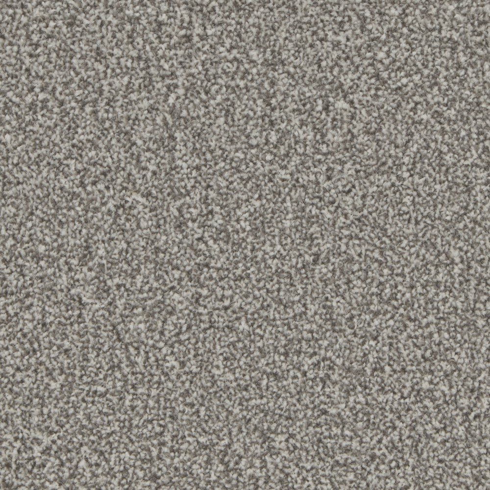 Kingston Easy Clean Carpet by Cormar Carpet Co featuring a soft, durable carpet with a subtle textured pattern for home use.