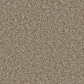 Cormar Carpet Co Kingston Easy Clean Carpet with textured, durable design suitable for home flooring.