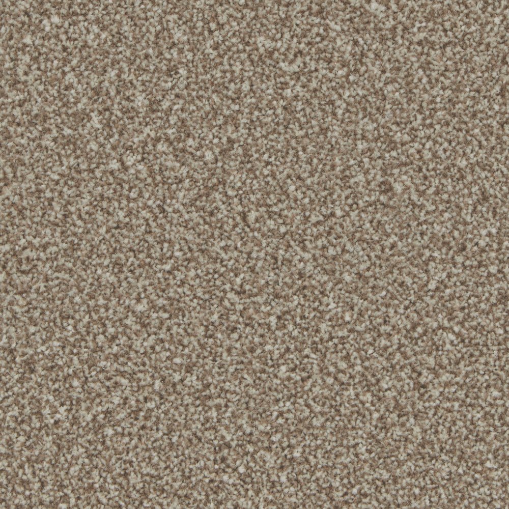Cormar Carpet Co Kingston Easy Clean Carpet with textured, durable design suitable for home flooring.