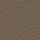 Kingston Easy Clean Carpet - Surefit CarpetsDoncaster