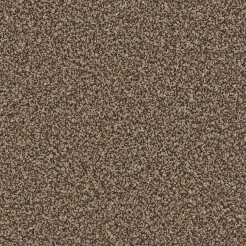 Kingston Easy Clean Carpet - Surefit CarpetsDoncaster