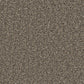 Kingston Easy Clean Carpet - Surefit CarpetsDoncaster