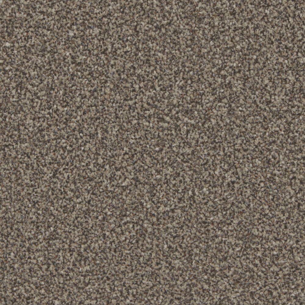 Kingston Easy Clean Carpet - Surefit CarpetsDoncaster