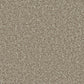Kingston Easy Clean Carpet by Cormar Carpet Co, showing a plush, textured beige carpet with a soft, durable appearance.
